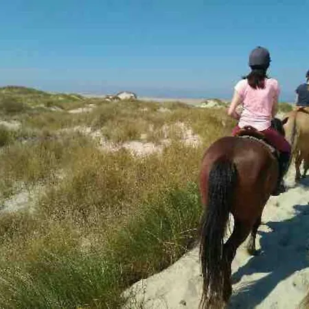 La Des Pins... Holiday home Quend