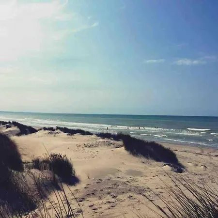 Hébergement de vacances La Des Pins...
